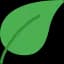 Anki Decks icon
