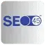 SEO45 AI icon