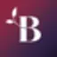 Bloom Stories icon