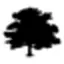 OdysseyGPT icon