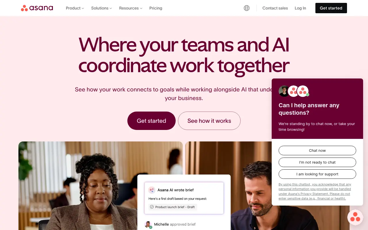 Asana screenshot